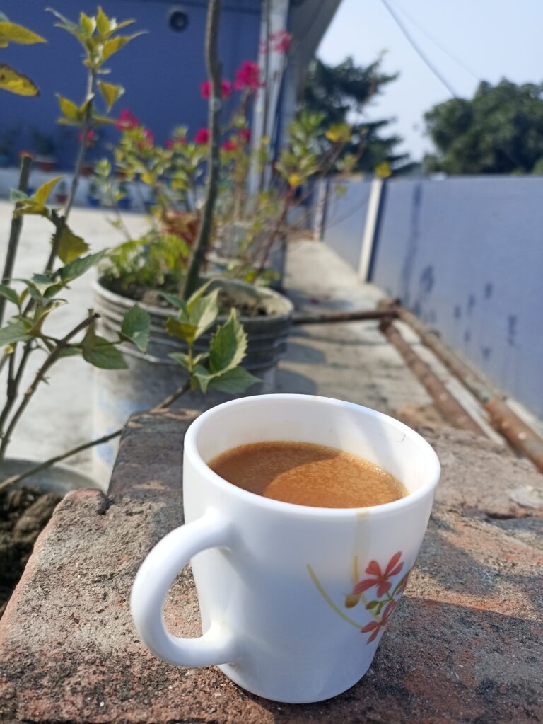 Explore The Tiny Pleasures around You.