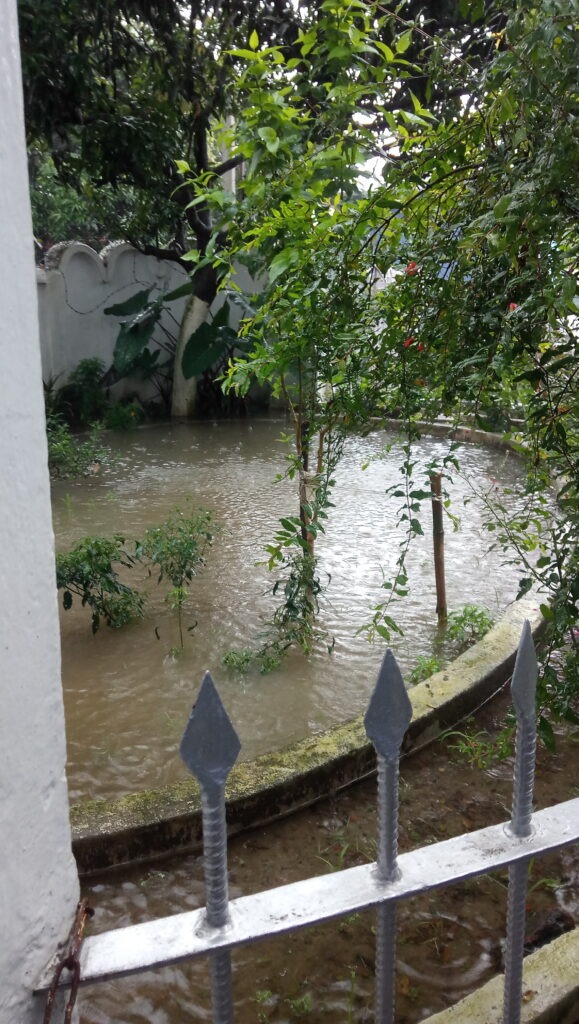 Monsoon rain in my garden at Birpur.