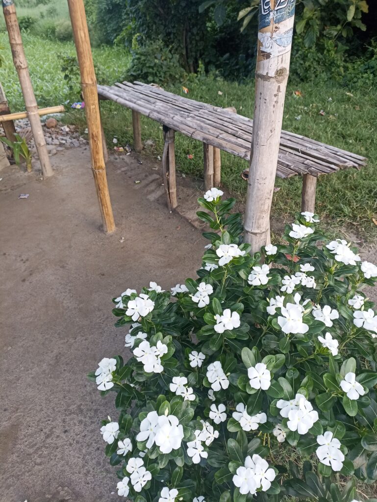 A Common sitting place made of bamboo