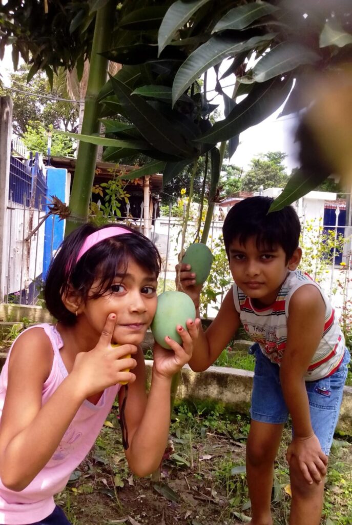 Mango Tree: A Nature Story