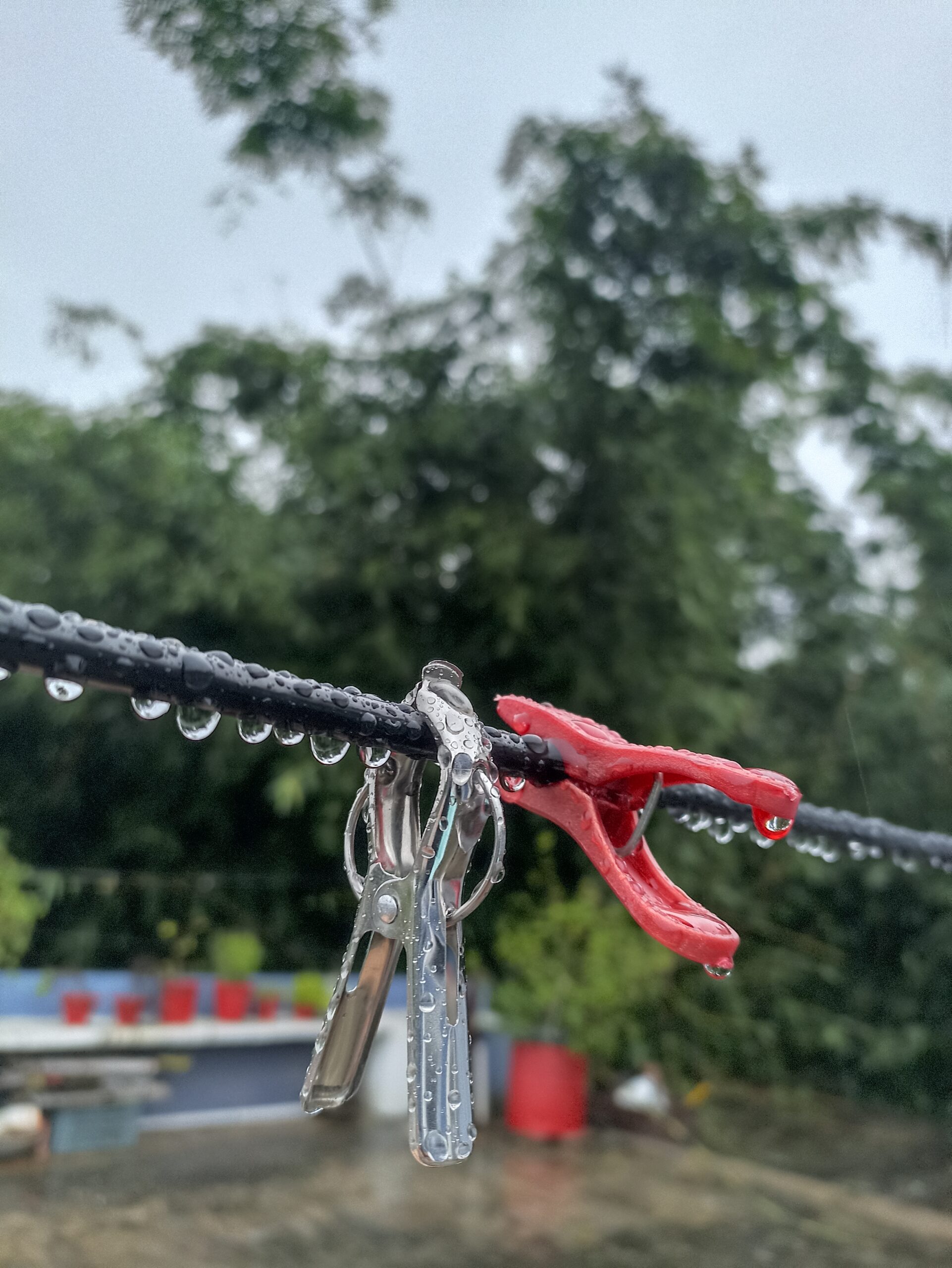 When Cloth Clips Take a Holiday