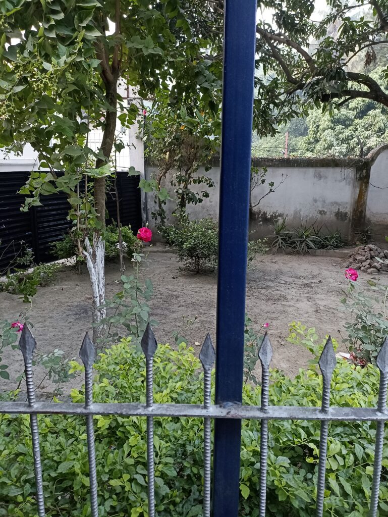 My ordinary humble garden